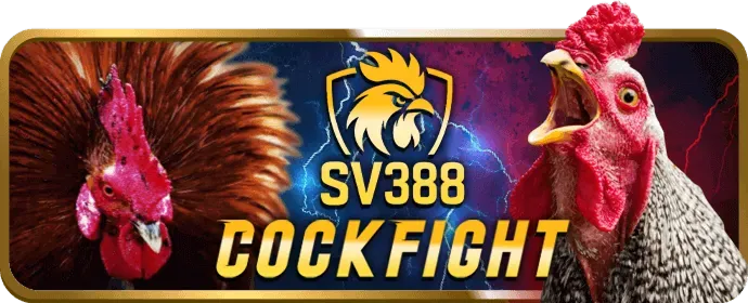 Ưu đãi và khuyến mãi độc quyền 44win55